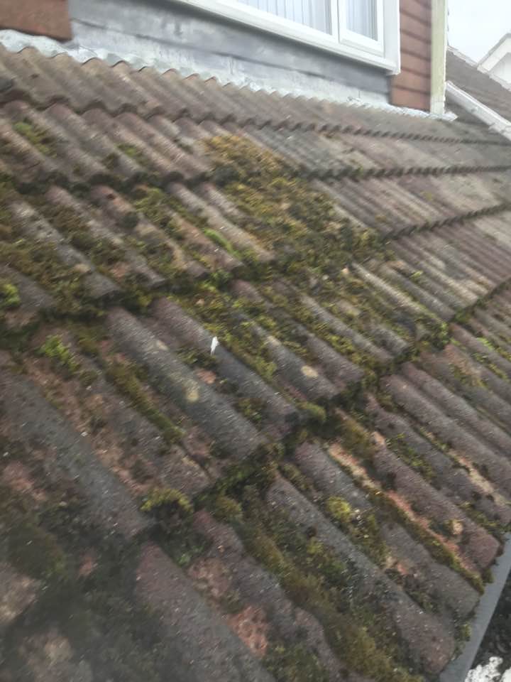 306650950_514525510675400_8961506578430554359_n