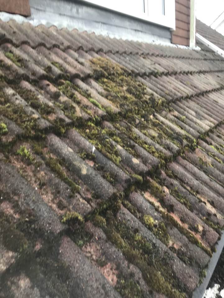 306783457_514525317342086_7723148171770237791_n