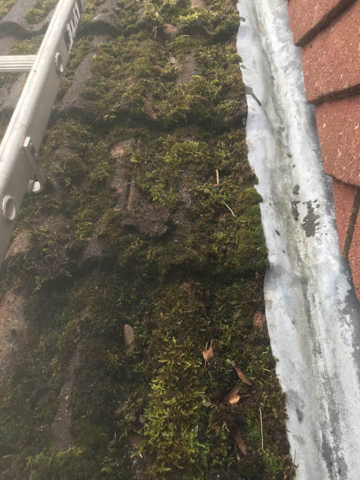 306832135_514525164008768_8630162216074556052_n