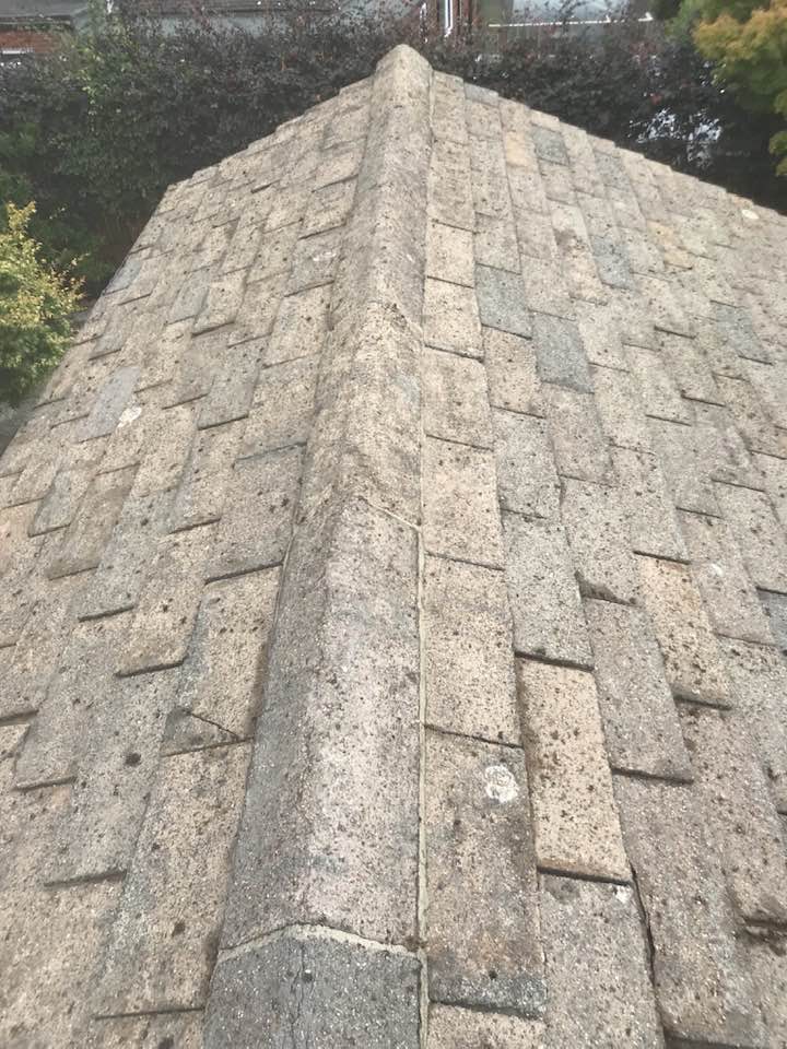 307709114_514520857342532_4811153497827717789_n