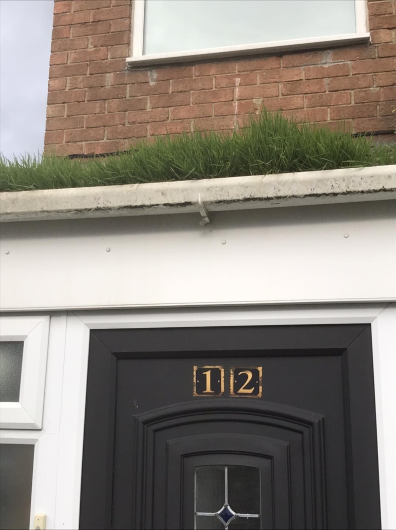 315360964_562670879194196_247316513896880075_n