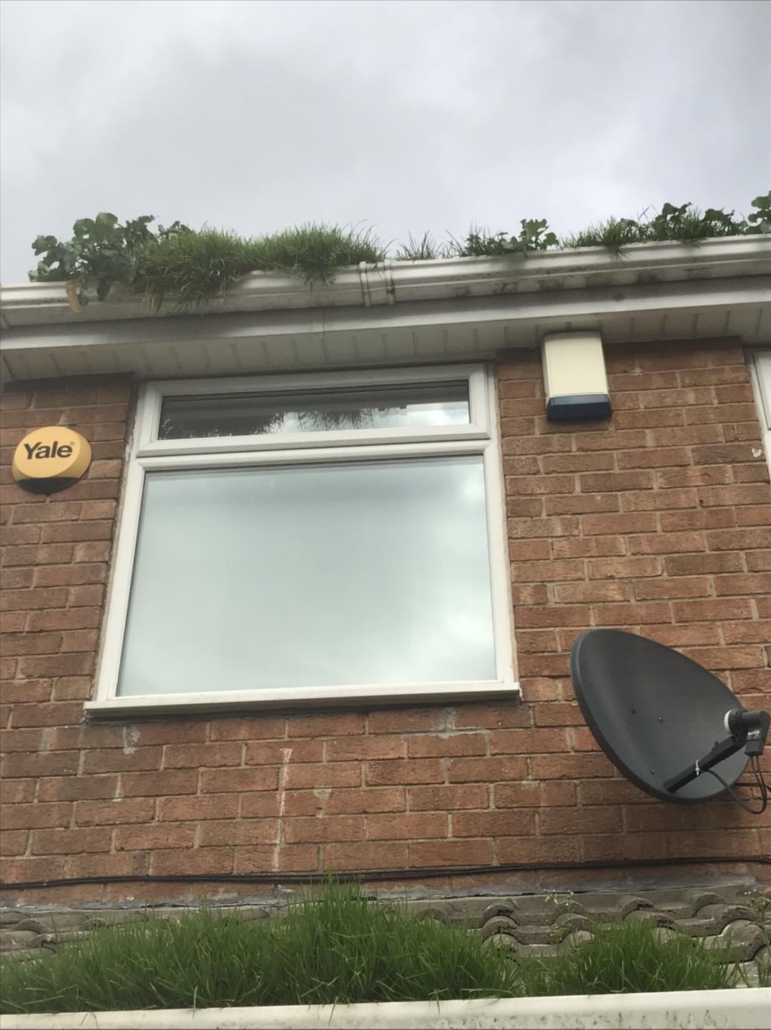 315400860_562670869194197_2498545440595132379_n