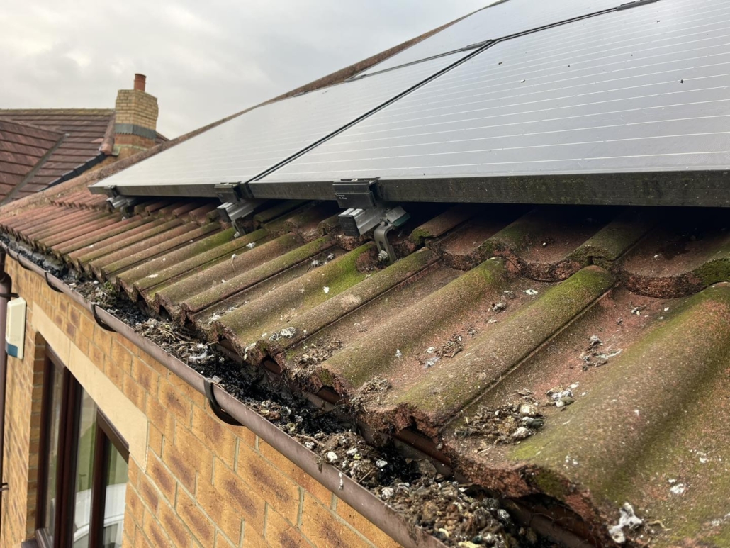 434760892_927750262686254_806217317867097028_n