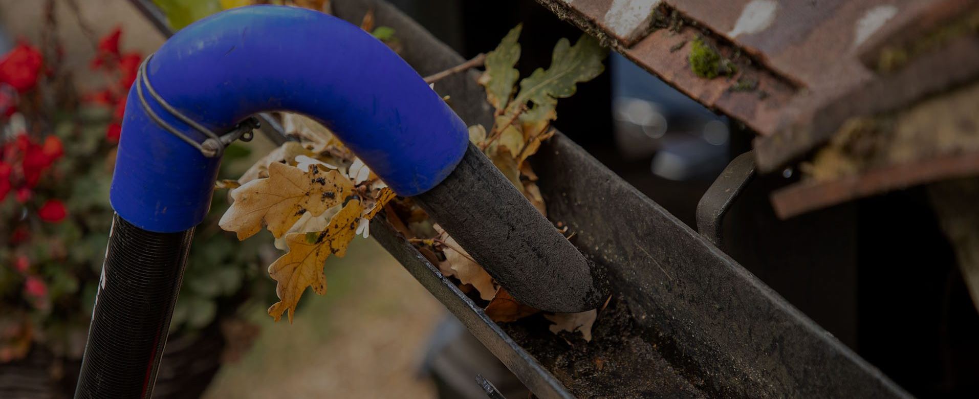 Gutter Cleaning
